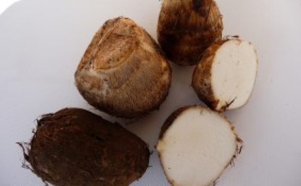 Japanese Satoimo Root- Facts And Health Benefits