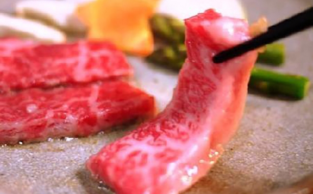 Takayama, Japan Has A Lot To Offer But It Is Hard To Go Past The Hida Beef.